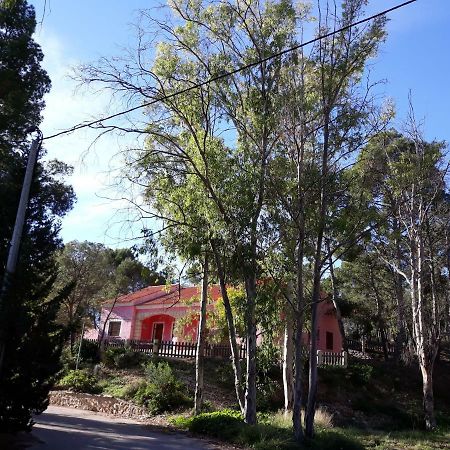 Casas Rurales "Paraje El Cajal" Ojos Екстер'єр фото
