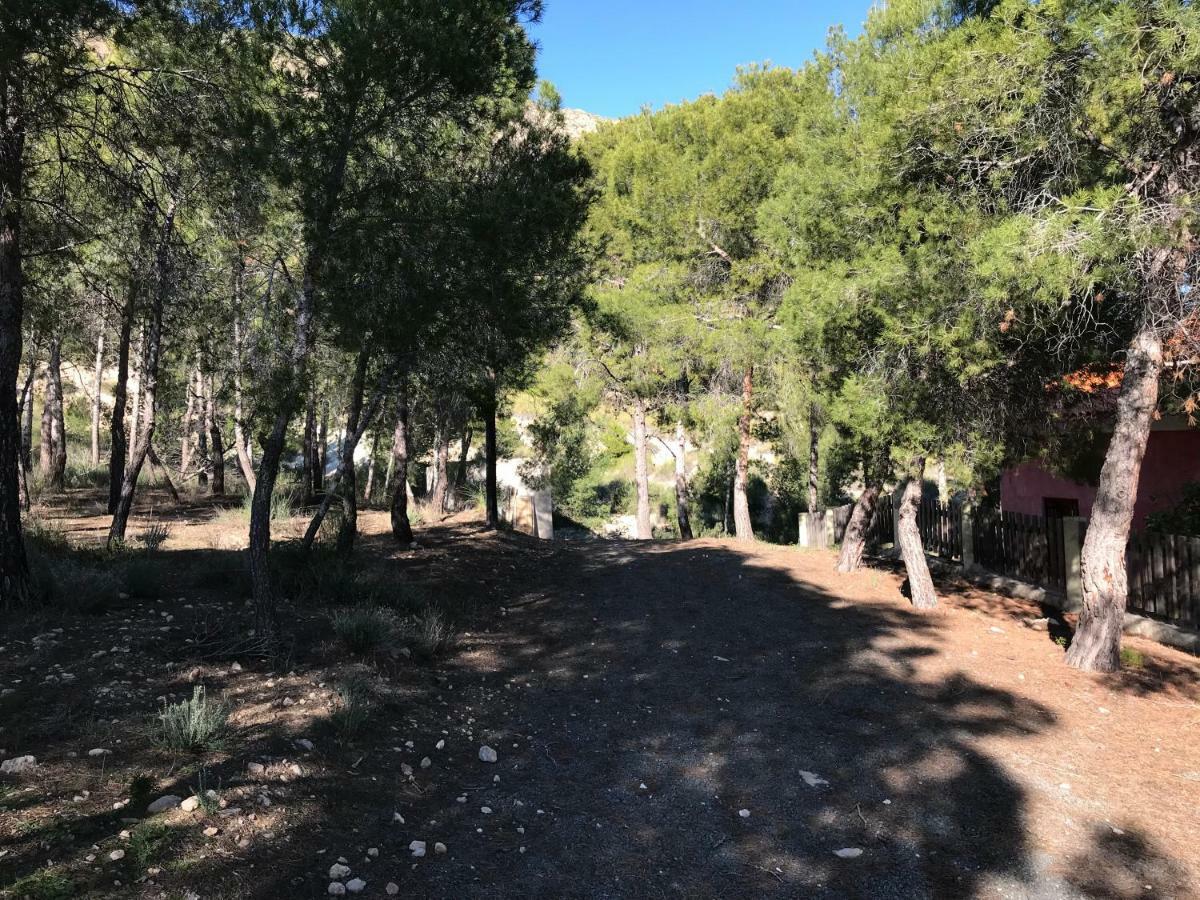 Casas Rurales "Paraje El Cajal" Ojos Екстер'єр фото