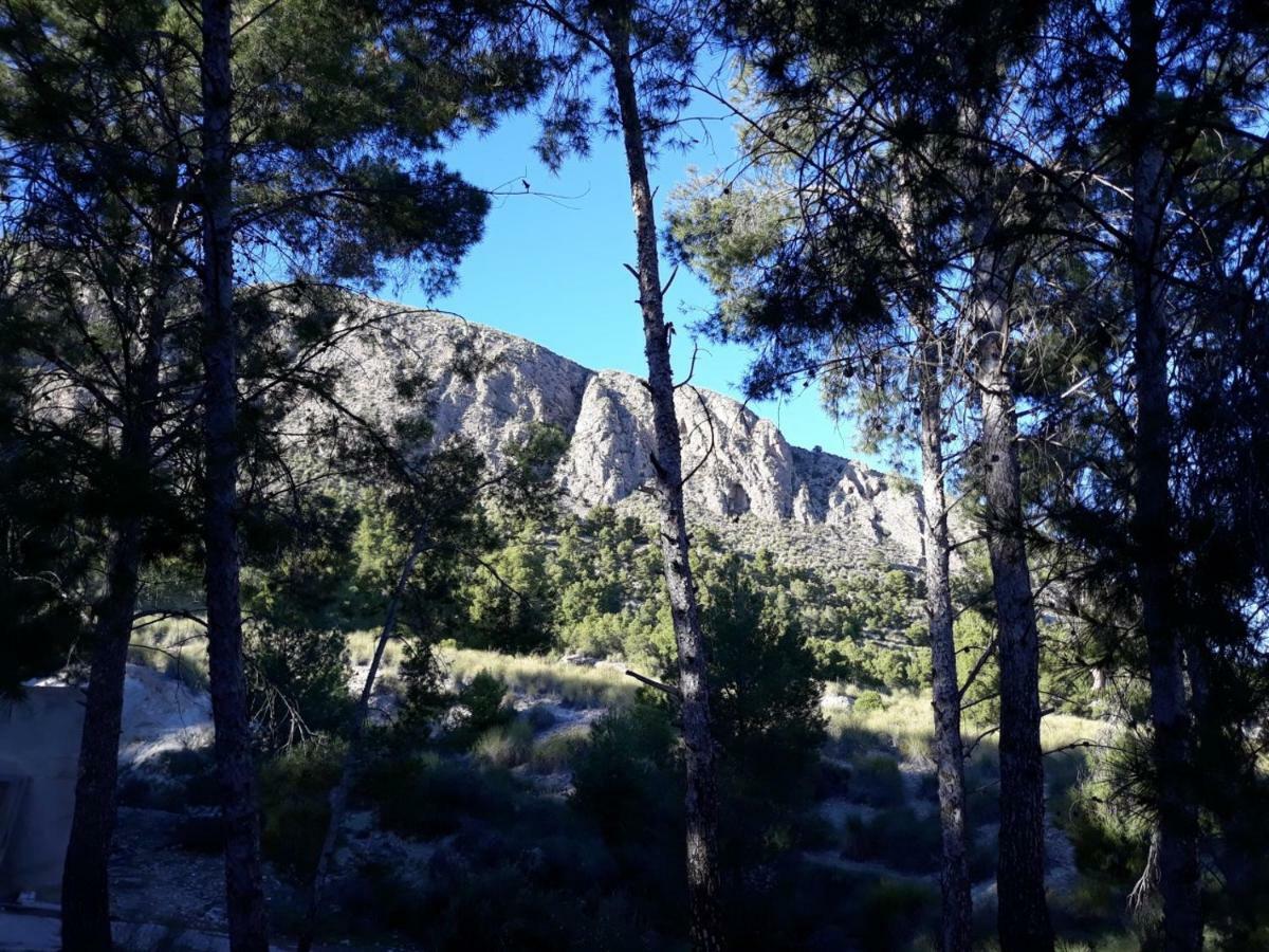 Casas Rurales "Paraje El Cajal" Ojos Екстер'єр фото